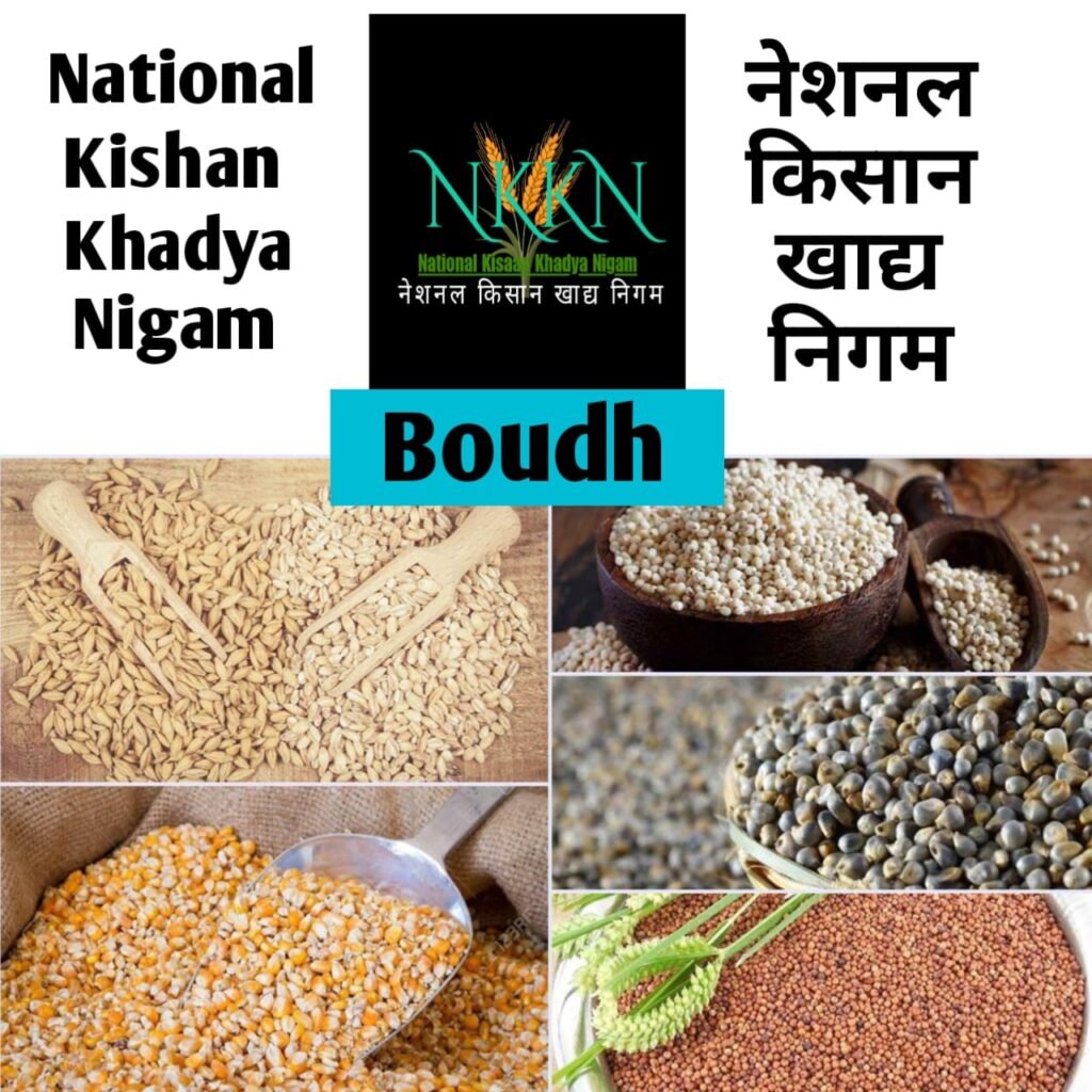 NKKN: National Kisaan Khadya Nigam Processing Unit in Boudh District of ODISHA