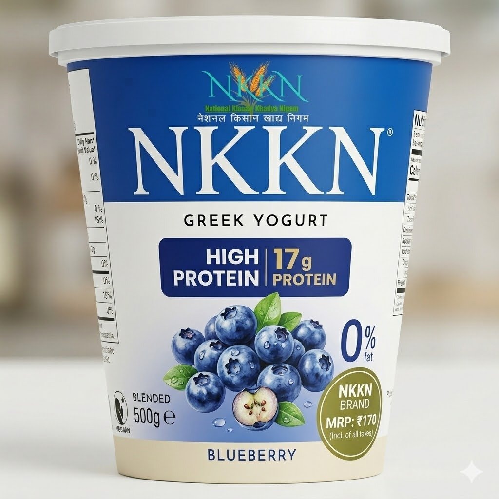 NKKN Brand Greek Yogurt with Blueberry